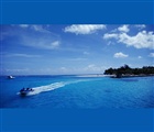 dailyPhoto1