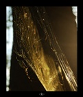 dailyPhoto29