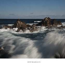 dailyPhoto12