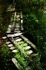 dailyPhoto16