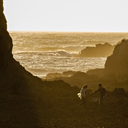 dailyPhoto39