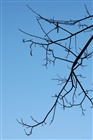 dailyPhoto14