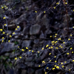 dailyPhoto10