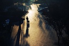 dailyPhoto1