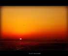 dailyPhoto17