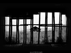 dailyPhoto7