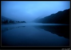 dailyPhoto40