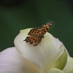 dailyPhoto23