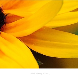dailyPhoto22