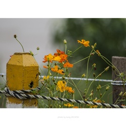 dailyPhoto30
