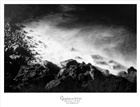 dailyPhoto5