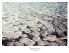 dailyPhoto6