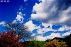 dailyPhoto10