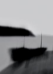 dailyPhoto20