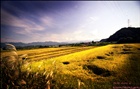 dailyPhoto9