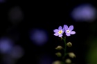 dailyPhoto4