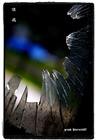 dailyPhoto29