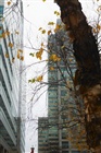 dailyPhoto6