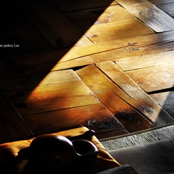 dailyPhoto11