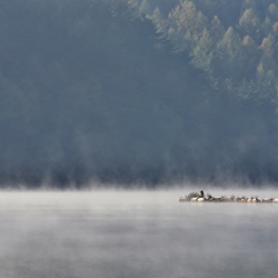dailyPhoto3