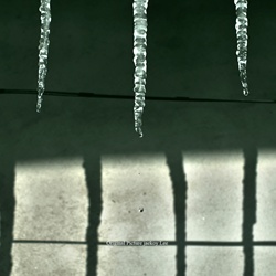 dailyPhoto21