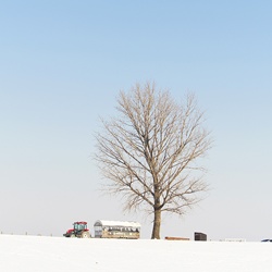 dailyPhoto20