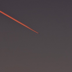 dailyPhoto3