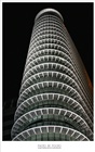 dailyPhoto2