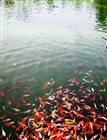 dailyPhoto37