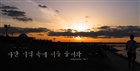 dailyPhoto31