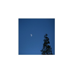 dailyPhoto2