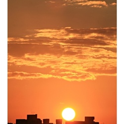 dailyPhoto25