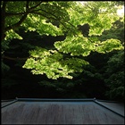 dailyPhoto30