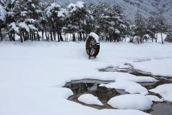 dailyPhoto1