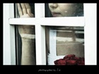 dailyPhoto5
