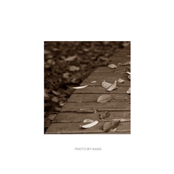 dailyPhoto30