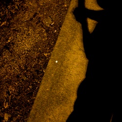 dailyPhoto30
