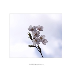 dailyPhoto39