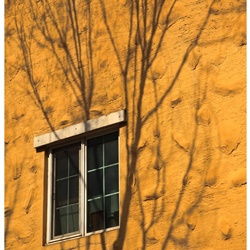 dailyPhoto27