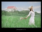 dailyPhoto11