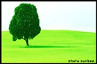 dailyPhoto15