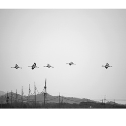 dailyPhoto21