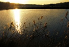 dailyPhoto1