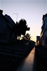 dailyPhoto26