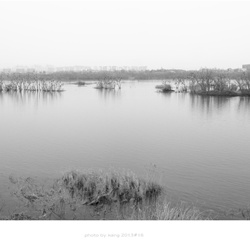 dailyPhoto19