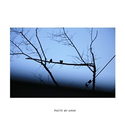 dailyPhoto32