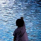dailyPhoto6