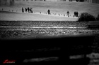 dailyPhoto16