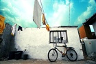 dailyPhoto1