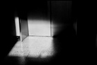 dailyPhoto14